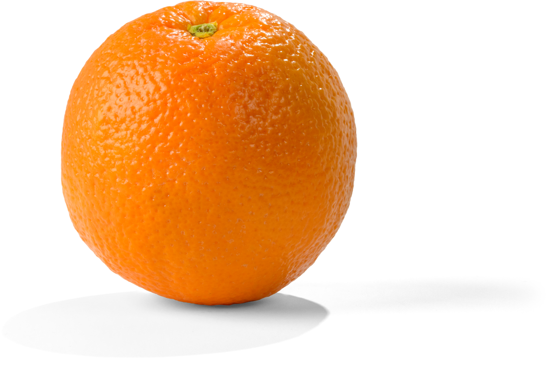 Fresh and Ripe Orange - Isolated